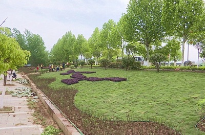 推窗見綠 出門見景 孝昌加快綠化美化，提升城市“顏值”