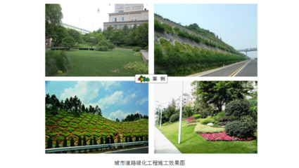 慶陽金陵園林綠化工程 打造城市生態(tài)綠肺的藝術(shù)與科技融合