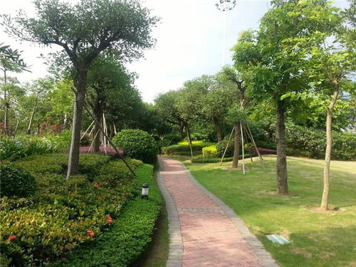 園林養(yǎng)護(hù)指南 從專(zhuān)業(yè)手冊(cè)到高清視覺(jué)的全面指引