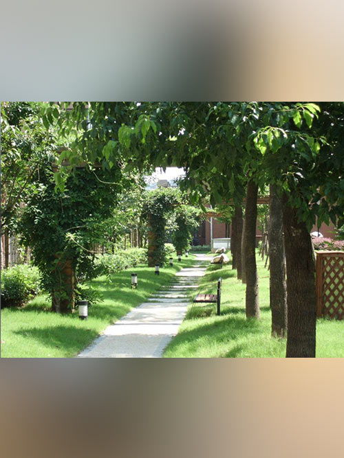 園林綠化服務(wù)公司 打造自然與人文交融的綠色空間