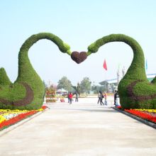 深圳市萬(wàn)年春園林綠化公司 打造城市生態(tài)綠洲的專(zhuān)業(yè)力量