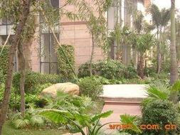 深圳市巴比倫環(huán)境園林藝術(shù) 薈芳園園林景觀建設(shè)工程與產(chǎn)品展廳